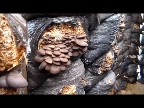 Видео: Отработанные блоки-должное отношение к ним.