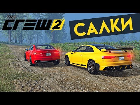 Видео: КОШКИ МЫШКИ, САЛКИ В The Crew 2