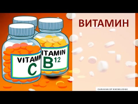 Видео: Витамины и микроэлементы STEAM урок