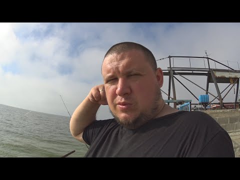 Видео: МОРСКАЯ РЫБАЛКА.КТО СОВОКУПЛЯЕТСЯ В НАШЕЙ ВАННОЙ?РАЗГОВОРЫ ПОД БЫЧКАНОИДОВ.#седово #рыбалка #отдых