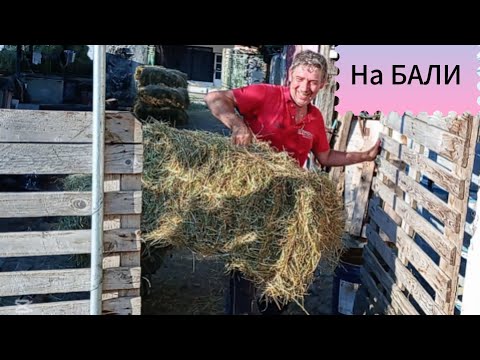 Видео: Прибираме сеното