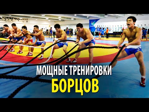 Видео: Как Тренируются НАСТОЯЩИЕ БОРЦЫ