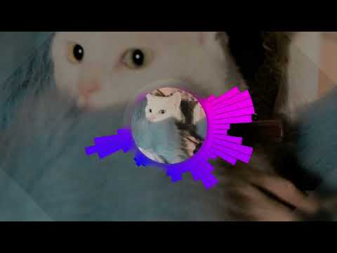 Видео: HOFMANNITA & BAPEZAYKA - НЕ ЛЮБЛЮ