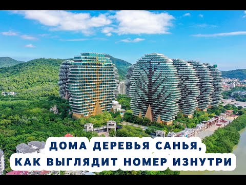 Видео: Дома деревья в Санья, как выглядит номер изнутри