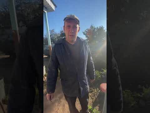 Видео: Дружеские соревнования высоколетных голубей.