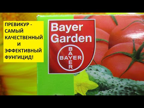 Видео: Превикур. Как использовать Превикур в огороде? Как приготовить рабочий раствор Превикура.