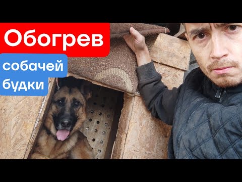 Видео: Обогрев в будку для собаки