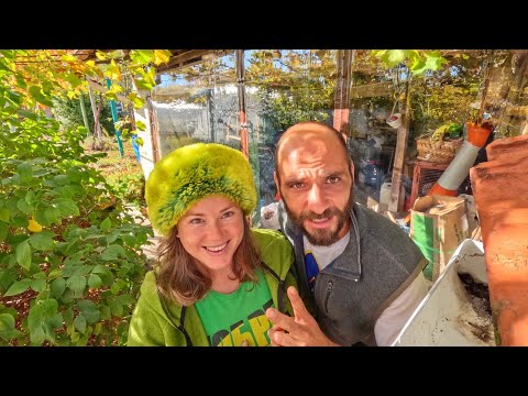 Видео: Оцет от бъз, за гъби с децата и щастие у дома | Живот на село в ИмеНие ХаЛо