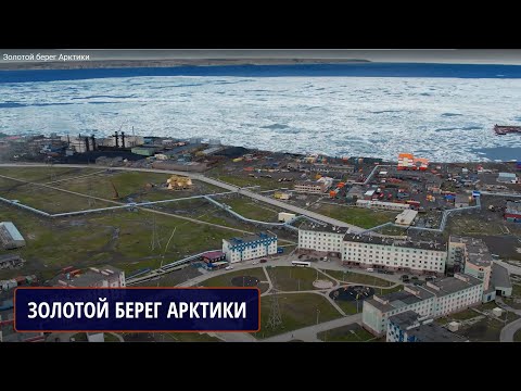 Видео: Золотой берег Арктики