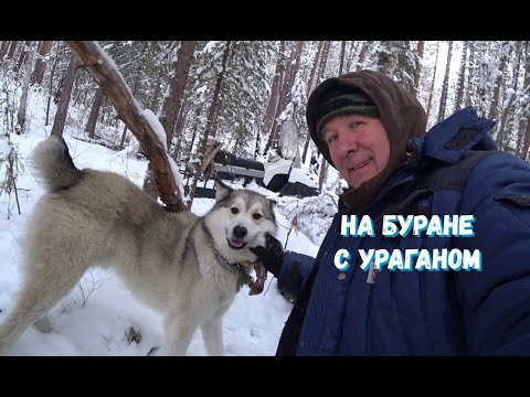 Видео: НА БУРАНЕ С УРАГАНОМ. БЛИЖНИЙ ПУТИК.