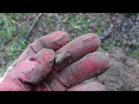 Видео: Один в глухом лесу. Ищу клад (средневековье).