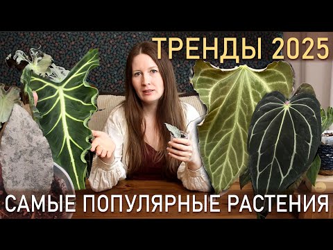 Видео: ТРЕНДЫ 2025. Самые популярные РАСТЕНИЯ