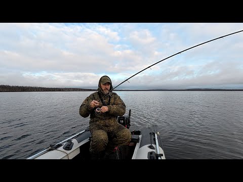 Видео: НЕ ПОЙМИ ЧТО....ДАЖЕ НЕ ЗНАЮ КАК НАЗВАТЬ...