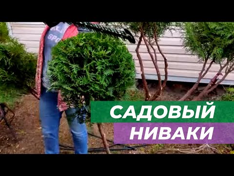 Видео: Делаем садовый ниваки и габионы за один день.