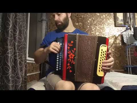 Видео: Гармонь Мелодия.