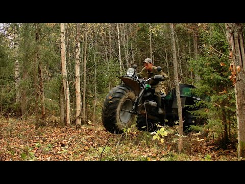 Видео: Удачная разведка #449