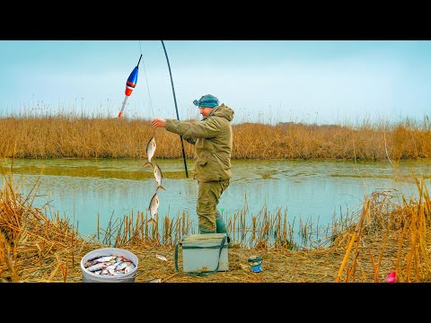 Видео: ЗИМОЙ ЗАКИНУЛ ПОПЛАВОК В ЯМКУ, А ТАМ РЫБЫ ТЬМА! ЛОВЛЯ РЫБЫ НА ПОПЛАВОК!