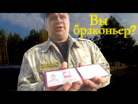 Видео: Подводный охотник - БРАКОНЬЕР или НЕТ?