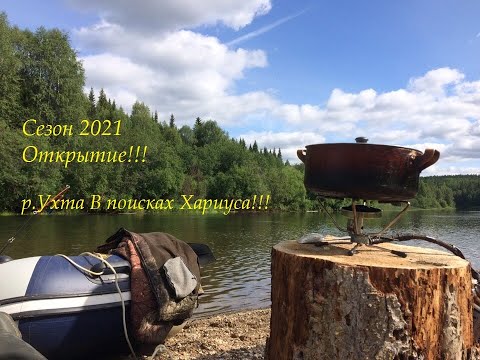 Видео: В поисках хариуса/Июнь 2021/Река Ухта/ Часть 1