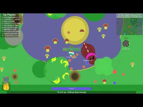 Видео: Mope.io- мини дракон 0 xp!!! :D