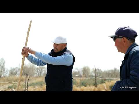 Видео: Жарандык активист Акжолтой Тукунов каржы пирамидасынан жабыр тарткан жаранга жардам көрсөттү.