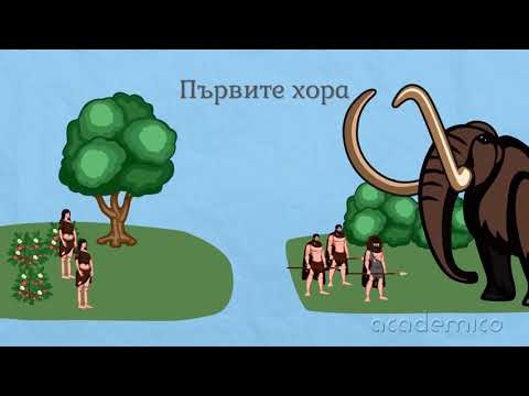 Видео: Начало на човешката история - Български език 5 клас | academico