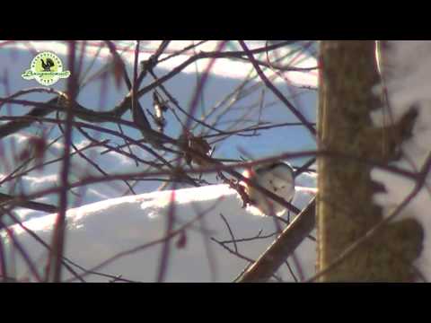 Видео: Фильм "Рядом с нами"