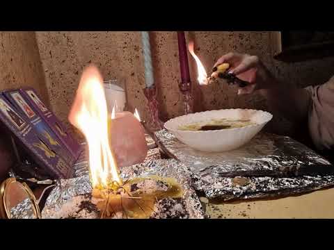 Видео: Мощная Обратка Черноротым