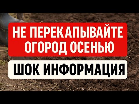 Видео: Никогда не копайте огород осенью! Ошибка, из-за которой земля умирает и пропадает урожай