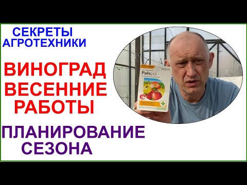 Видео: Весенние работы в виноградной теплице. Планирование сезона.