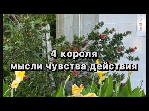 Видео: 4 короля: мысли, чувства, действия