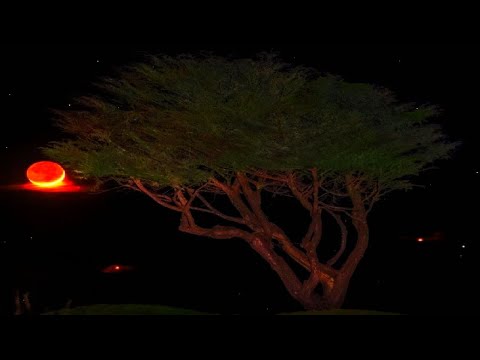 Видео: Скабрезлость вкратце об истории ЮАР.