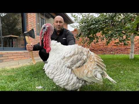 Видео: Последний путь Индюка легенды:turkey:  ! Готовим как в старые добрые времена