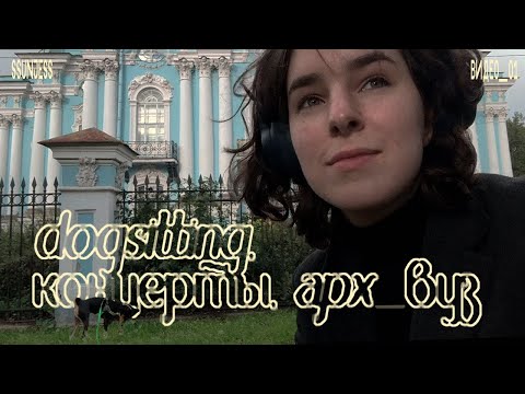Видео: провожу осень в петербурге (вспоминаю лето)