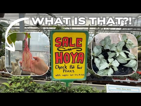 Видео: Я никогда раньше не видела таких растений 😳 | Экскурсия по питомнику