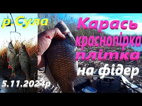 Видео: #СУЛА # Мороз вітер # А воно КЛЮЄ #РибачуЯкУмію