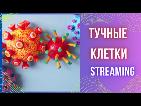 Видео: Тучные клетки. Синдром активации тучных клеток. MCAS.