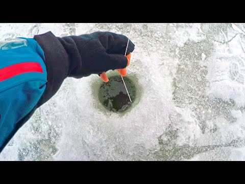 Видео: Опустил простую блесну, а ОНА КЛЮНУЛА С УДАРОМ И НАЧАЛАСЬ БОРЬБА!.. первый лед малых рек