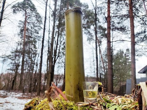 Видео: Бамбуковка