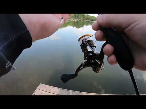 Видео: Мормышинг. Черневские пруды 31 мая 2024 года.  Тестирование Duel Hardcore The One PE #0,1