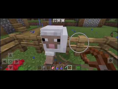 Видео: 21 сентября 2025 г.