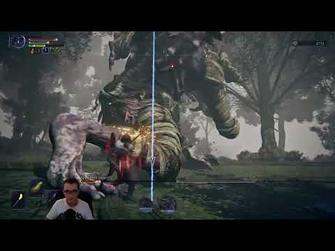 Видео: Яркий момент: Соло - Собака - Педигрипал