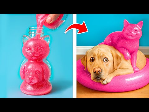 Видео: Мы построили секретные домики для питомцев! Бедная собака vs богатая кошка!