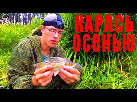Видео: Ловля КАРАСЯ в сентябре на САМУЮ ЛУЧШУЮ НАСАДКУ.
