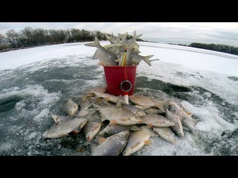 Видео: Последний выезд на леща. Оскол