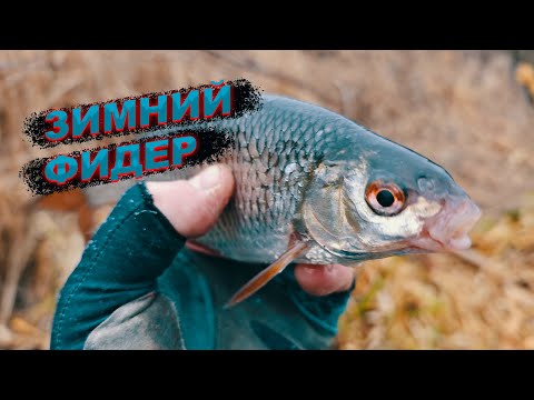 Видео: Рыба дуреет с этой прикормки.  Зимний фидер.