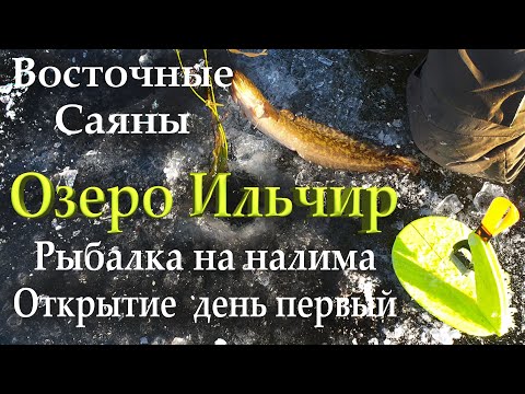 Видео: Восточные Саяны. Озеро Ильчир. Рыбалка на налима. Открытие зимней рыбалки.