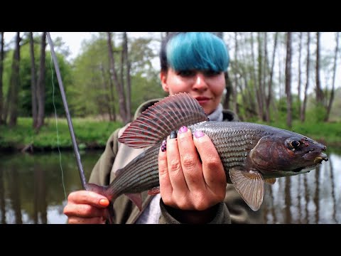 Видео: ПО РЕКЕ СО СПИННИНГОМ. Рыбалка в ГЛУХОМ МЕСТЕ. ОТКУДА ЗДЕСЬ ХАРИУС? #177