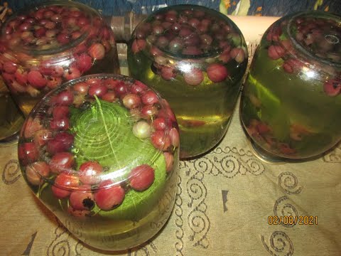 Видео: КРЫЖОВНИК с ВИШНЁВЫМ ЛИСТОМ.КОМПОТ.