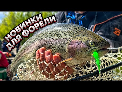 Видео: Эти новинки КОСЯТ форель / Секрет ПРОФЕССИОНАЛА / Как поймать МНОГО?!